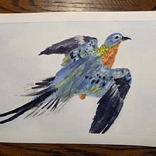 31 days 31 drawings 2021. Traditional illustration project by Barb O - 10.26.2021