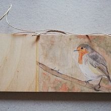 Pettirosso . Ilustração tradicional projeto de Ornella Ferrari - 25.10.2021