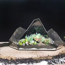 Terrario montaña . Un projet de Design  de Páramo Store - 27.10.2021