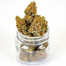 Cogollos de CBD Hannapy. Fine-Art Photograph, Digital Photograph, E-commerce, and Naturalistic Illustration project by Hannapy Social - 10.27.2021
