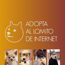 Mi Proyecto del curso: Lomitos de Internet. Advertising, Creative Consulting, Marketing, and Creativit project by Adrián Quiros - 10.26.2021