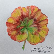 31 Days 31 Drawings 2021. Traditional illustration project by Sue Orchison - 10.27.2021