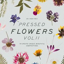 Pressed Dry Flowers & Herbs Vol.2. Design, Photograph, Social Media, and Social Media Design project by Sparrow & Snow - 08.14.2019