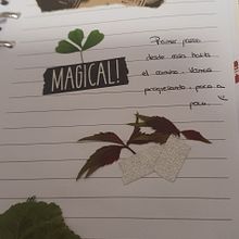Mi Proyecto del curso: Introducción al bullet journal ilustrado. Traditional illustration, Arts, Crafts, Lettering, Drawing, Botanical Illustration, DIY, H, and Lettering project by evagelsa_1 - 10.28.2021