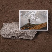 Terra Explorer. Un proyecto de Diseño, Br, ing e Identidad y Packaging de Provincia - 28.10.2021