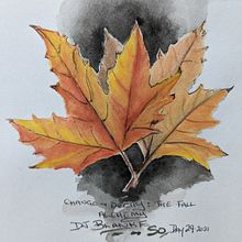 31 Days 31 Drawings 2021. Traditional illustration project by Sue Orchison - 10.28.2021