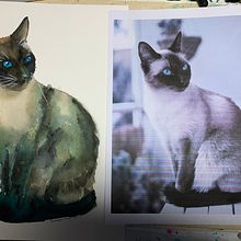 My project in Expressive Animal Portraits in Watercolor course Ein Projekt aus dem Bereich Traditionelle Illustration, Aquarellmalerei, Realistische Zeichnung und Naturalistische Illustration von Penelope Merke - 30.10.2021