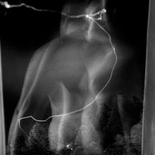 Agonia Ein Projekt aus dem Bereich Fotografie und Artistische Fotografie von João Vitor Nava Storck - 13.10.2020