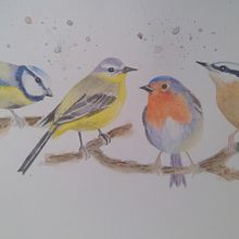 My project in Artistic Watercolor Techniques for Illustrating Birds course. Traditional illustration, Watercolor Painting, Realistic Drawing, and Naturalistic Illustration project by Ria Kotze - 10.30.2021