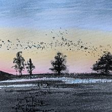 31Days 31Drawings 2021. Traditional illustration project by Sue Orchison - 10.30.2021