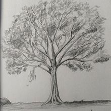 Sketch of an Oak Tree. Un projet de Illustration traditionnelle de Ilias Zervas - 30.10.2021