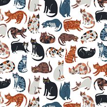 Fabric Collection - Cat's Meow. Traditional illustration, and Pattern Design project by Allison Cole - 10.31.2021