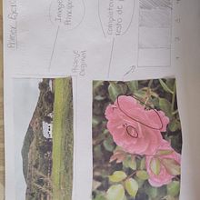 Mi Proyecto del curso: Daniela De Leon. Traditional illustration, Watercolor Painting, Architectural Illustration, and Sketchbook project by durnosky2020 - 10.30.2021