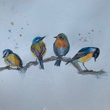 My project in Artistic Watercolor Techniques for Illustrating Birds course. Projekt z dziedziny Trad, c, jna ilustracja, Malowanie akwarelą, R, sunek realist, czn, Ilustracja naturalist i czna użytkownika Pauline Roberts - 31.10.2021