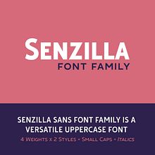 Senzilla Sans Font Family. T, pograph, T, pograph, Design, Logo Design, Br, ing, Identit, Editorial Design, Multimedia, and Graphic Design project by Andreu Gallart Ruiviejo - 11.01.2021
