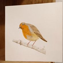 Mi Proyecto del curso: Ilustración naturalista de aves con acuarela Ein Projekt aus dem Bereich Traditionelle Illustration, Aquarellmalerei, Realistische Zeichnung und Naturalistische Illustration von Anna Lorita - 01.11.2021