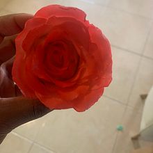 Flores de azúcar para Cake design.  project by Maribel Blanco sandoval - 11.01.2021