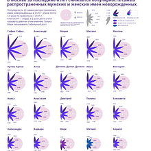 My project in Data Visualization and Information Design: Create a Visual Model course. Projekt z dziedziny Projektowanie informacji, Projektowanie interakt, wne i Infografika użytkownika balmy - 01.11.2021