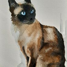 Il mio progetto del corso: Ritratti espressivi di animali ad acquerello. Un progetto di Illustrazione tradizionale, Pittura ad acquerello, Disegno realistico e Illustrazione naturalistica di Silvia Biagiotti - 01.11.2021