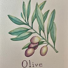 Meu projeto do curso: Aquarela botânica: ilustre a anatomia das flores. Projekt z dziedziny Trad, c, jna ilustracja,  Sztuki piękne,  Malarstwo,  R, sunek, Malowanie akwarelą, R i sunek botaniczn użytkownika Larissa Galastri - 01.11.2021