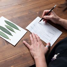 Il mio progetto del corso: Disegno botanico realistico ad acquerello. Un progetto di Design, Illustrazione tradizionale, Belle arti, Pittura, Pittura ad acquerello e Illustrazione botanica di Nadia Leo - 02.11.2021