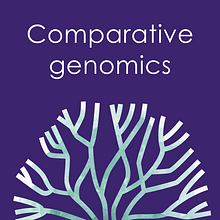 My project in Graphic Visualization: Telling Complex Stories through Simple Images course. Un progetto di Gestione progetti di design, Graphic design, Design dell’informazione, Marketing, Infografica e Comunicazione di lukics_krisztina_sara - 04.11.2021