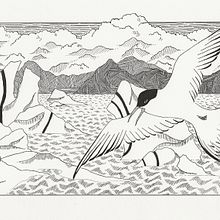 My project in Dip Pen and Ink project. Sketching, Drawing, Artistic Drawing, Sketchbook, Ink Illustration, and Naturalistic Illustration project by Caroline Clason - 11.01.2021