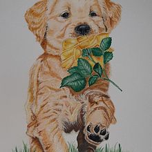 🐾. Ilustração tradicional, Pintura em aquarela, e Desenho projeto de Jennifer Gómez - 20.10.2021