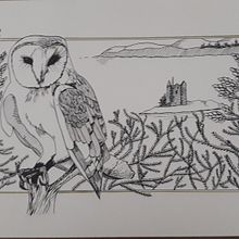 Owl in Dip Pen and Ink. Traditional illustration project by Sue Higgerson - 11.03.2021