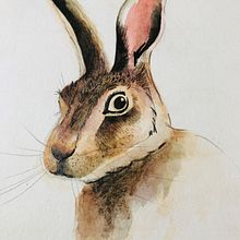 Mein Kursprojekt: Experimentelle Aquarelltechniken für Anfänger. Traditional illustration, Fine Arts, Watercolor Painting, and Naturalistic Illustration project by agnesmichel - 11.04.2021