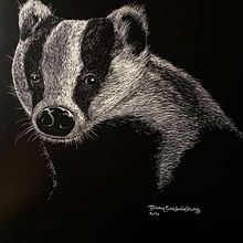 Mi Proyecto del Curso: Ilustración naturalista con scratchboard. Projekt z dziedziny  R, sunek, Trad, c, jna ilustracja, Ilustracja naturalist i czna użytkownika Guillermo García-Saúco Sánchez - 04.11.2021