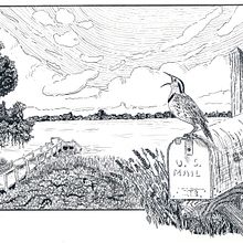 My project in Dip Pen and Ink Illustration: Capturing The Natural World course . Membuat sketsa, Menggambar, Menggambar Artistik, Buku sketsa, Ilustrasi Tinta & Ilustrasi Naturalistik proyek oleh Diane Cambron - 11.04.2021