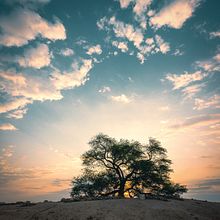 Content production for Bahrain Tourism Board. Un progetto di Social media e Fotografia di Joerg Nicht - 04.12.2019