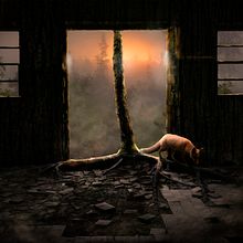 forest. Traditional illustration, and Photograph project by paulinakubieniec1 - 11.05.2021