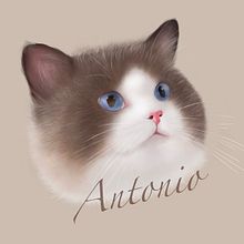 My project in Naturalist Animal Illustration with Procreate course. Traditional illustration, Digital Illustration, Realistic Drawing, and Naturalistic Illustration project by Annie Lee - 11.05.2021