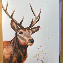 Hirsch in Aquarell, Kurs bei Sarah Stokes. Traditional illustration, and Watercolor Painting project by Therese Keller - 11.06.2021
