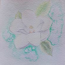 Il mio progetto del corso: Illustrazione botanica con acquerello. Ilustração tradicional, Artes plásticas, Pintura, Desenho, Pintura em aquarela e Ilustração botânica projeto de Ornella Ferrari - 25.10.2021