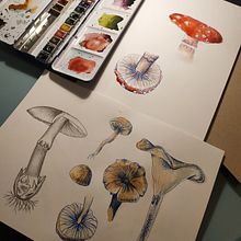 My project in Botanical Watercolor Sketchbook course Ein Projekt aus dem Bereich Traditionelle Illustration, Aquarellmalerei, Botanische Illustration und Sketchbook von Małgorzata Borkowska - 06.11.2021