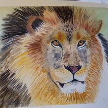 My project in Expressive Animal Portraits in Watercolor course . Ilustrație tradițională, Pictură în acuarelă, Desen realist & Ilustrație naturalistă de ylva_hindefelt - 11.07.2021