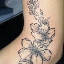 Mi Proyecto del curso: Tatuaje botánico con puntillismo . % Edgar Oswaldo albornoz tarafından hazırlanan Geleneksel illüstrasyon, Dövme Tasarımı, Ve Botanik İllüstrasyon projesi - 11.07.2021