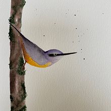 My project in Artistic Watercolor Techniques for Illustrating Birds course. Traditional illustration, Watercolor Painting, Realistic Drawing, and Naturalistic Illustration project by marie makiko - 11.08.2021