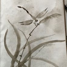 My project in Introduction to Sumi-e Painting course. Drawing, Traditional illustration, Ink Illustration, Fine Arts, and Painting project by Susanne Taudte - 11.08.2021