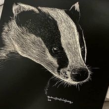 Otro proyecto con la técnica de Scratchboard: Tejón de perfil. Un projet de Illustration traditionnelle et Illustration naturaliste de Guillermo García-Saúco Sánchez - 08.11.2021