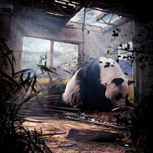 Matte painting - Oso Panda. Un projet de Matte painting, Art conceptuel , et Retouche photographique de Dani Cuesta Adsuara - 09.11.2021