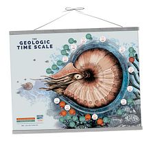 The geologic time scale in a Mollusc shell. Un projet de Illustration traditionnelle et Infographie de Sandra Hähle - 21.05.2020