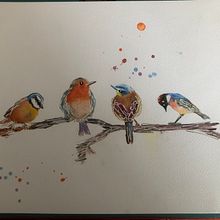 My project in Artistic Watercolor Techniques for Illustrating Birds course. Un proyecto de Ilustración tradicional, Pintura a la acuarela, Dibujo realista e Ilustración naturalista				 de Bala Konuskan - 09.11.2021