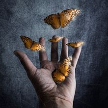 La mano Ein Projekt aus dem Bereich Traditionelle Illustration, Design, Fotografie und Verlagsdesign von adolfuri_ - 10.11.2021