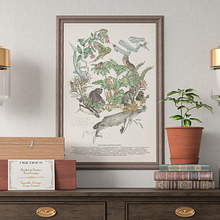 Imaginario Ecosistémico de Chile. Traditional illustration, Naturalistic Illustration, Watercolor Painting, Ink Illustration, and Drawing project by Pascale Marie Sabelle - 04.18.2021