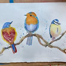 Three little birdies: Watercolour course with Sarah Stokes . % hall_margaret244 tarafından hazırlanan Geleneksel illüstras, on, Sulubo, Ve a Resim projesi - 11.10.2021
