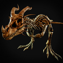 Dragon Skeleton. 3D, Animation, Character Design, Game Design, 3D Animation, 3D Modeling, Video Games, and 3D Design project by Alex Sanrey - 11.06.2021